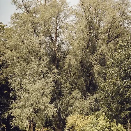 Arnbjerg Pavillonen 3*