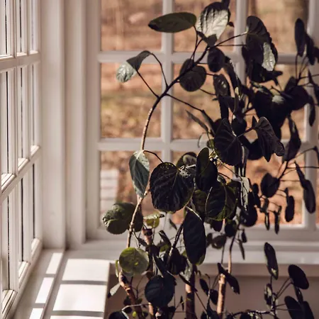 מלון Arnbjerg Pavillonen 3*