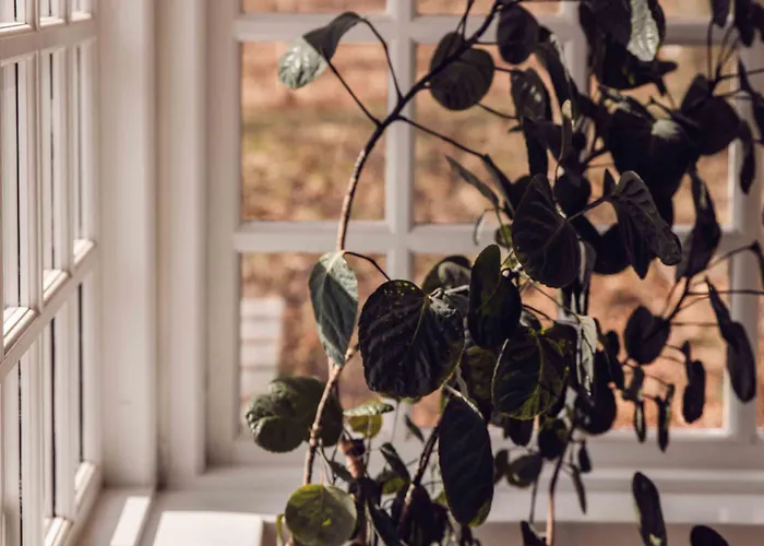 Hotel Arnbjerg Pavillonen 3*